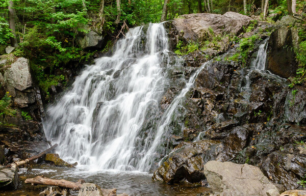 Chutes de Denholm